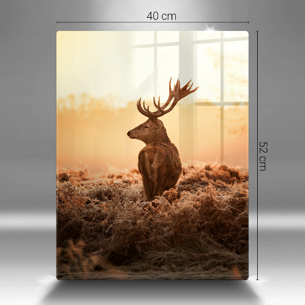 Tagliere in vetro Cervi nel campo