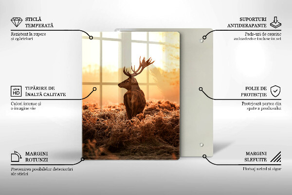 Tagliere in vetro Cervi nel campo