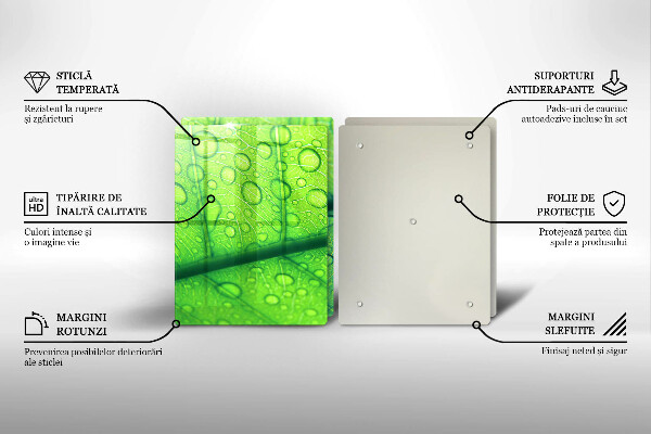 Tagliere in vetro temperato Primo piano di una foglia