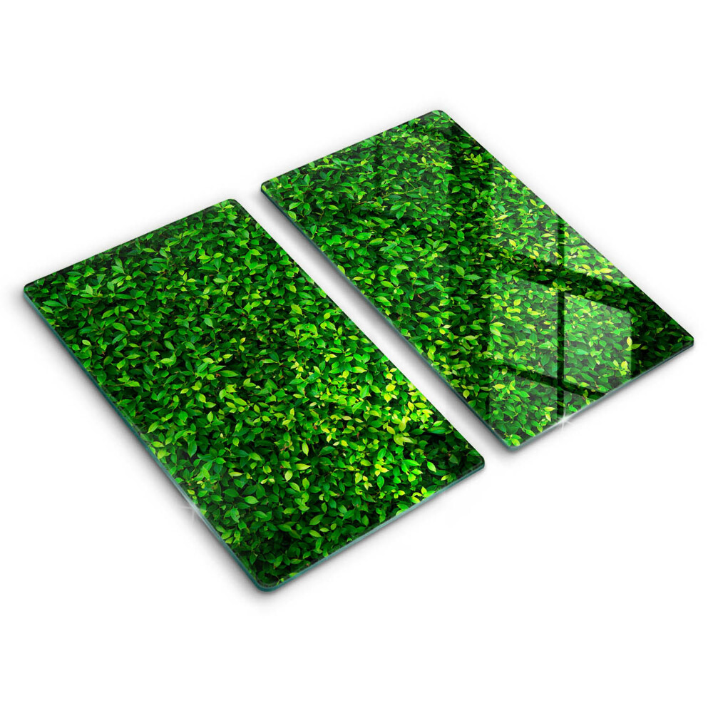 Tagliere in vetro temperato Pianta con foglie piccole