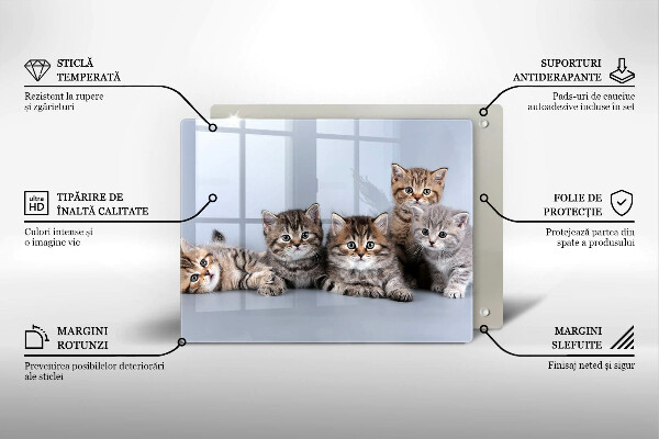 Tagliere in vetro temperato Piccoli e dolci gattini
