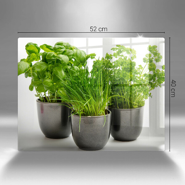 Tagliere in vetro temperato Vasi con erbe aromatiche