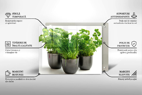 Tagliere in vetro temperato Vasi con erbe aromatiche