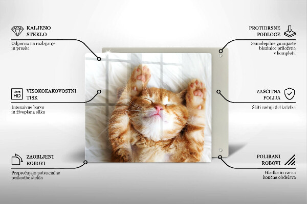 Tagliere in vetro temperato Piccolo gattino carino