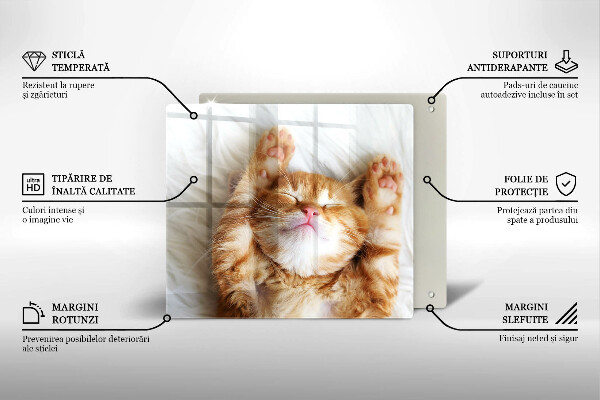 Tagliere in vetro temperato Piccolo gattino carino