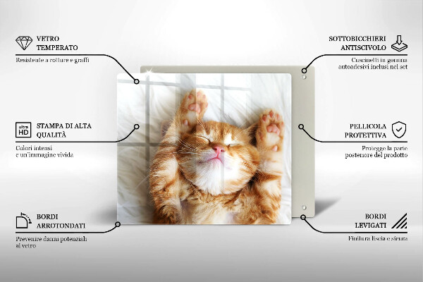 Tagliere in vetro temperato Piccolo gattino carino