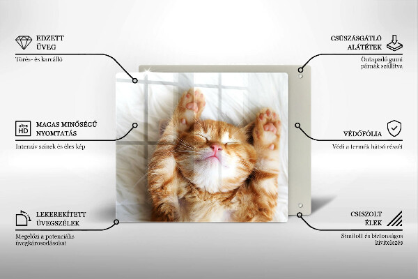 Tagliere in vetro temperato Piccolo gattino carino