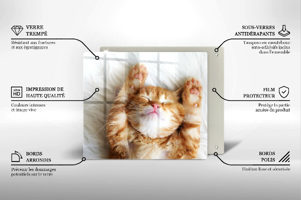 Tagliere in vetro temperato Piccolo gattino carino