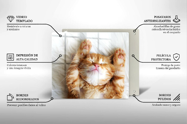 Tagliere in vetro temperato Piccolo gattino carino