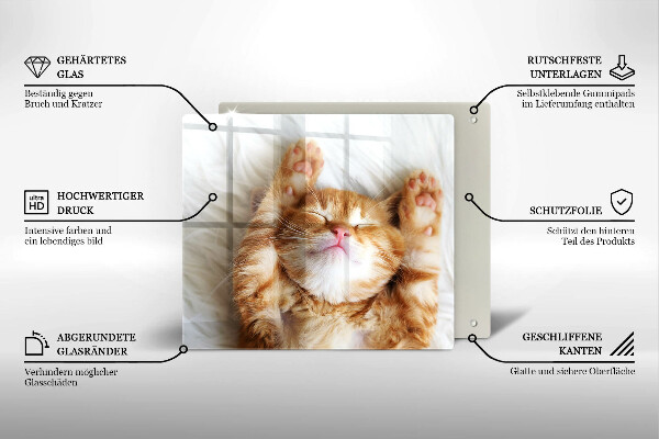 Tagliere in vetro temperato Piccolo gattino carino