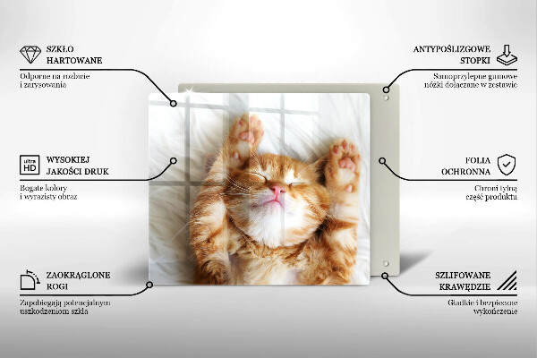 Tagliere in vetro temperato Piccolo gattino carino