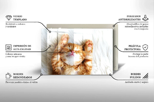 Tagliere in vetro temperato Piccolo gattino carino