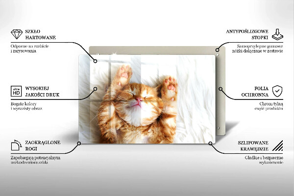 Tagliere in vetro temperato Piccolo gattino carino