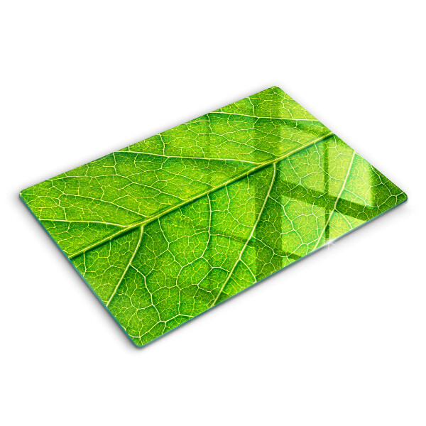 Tagliere in vetro temperato Vene delle foglie naturali
