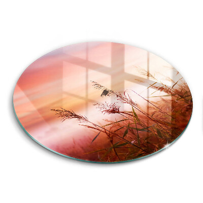 Tagliere in vetro Paesaggio di campi in erba