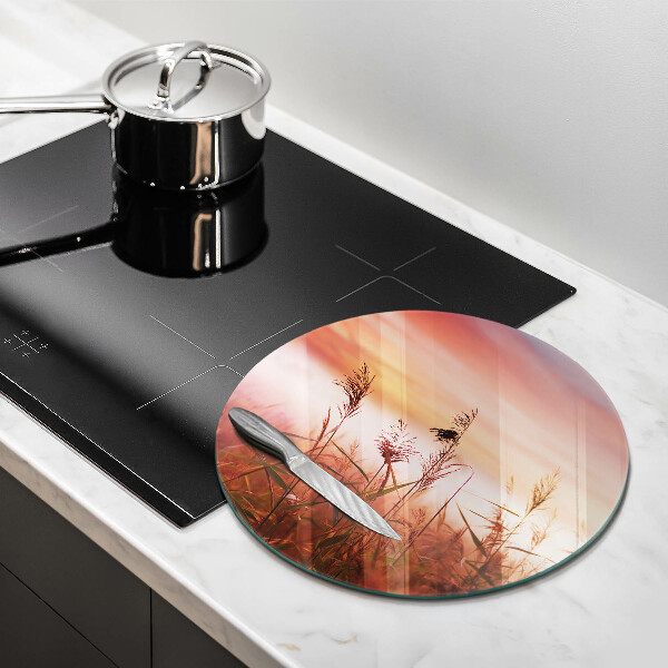 Tagliere in vetro Paesaggio di campi in erba