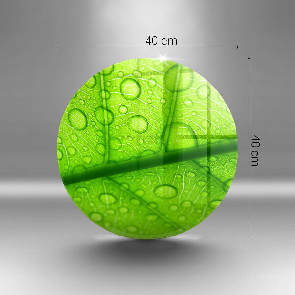 Tagliere in vetro temperato Primo piano di una foglia