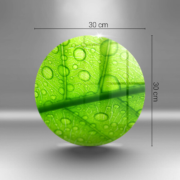 Tagliere in vetro temperato Primo piano di una foglia