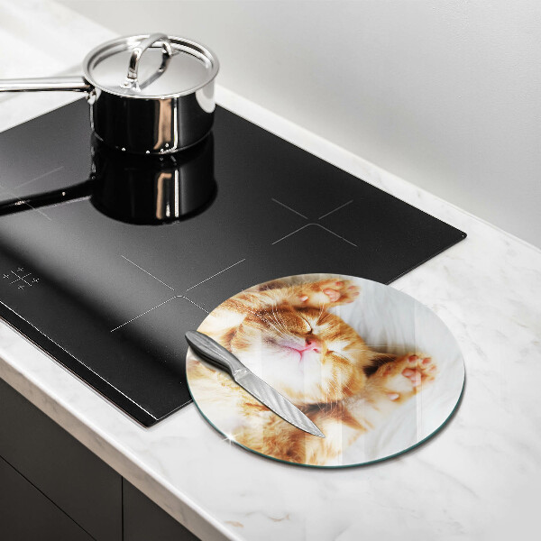 Tagliere in vetro Piccolo gattino carino