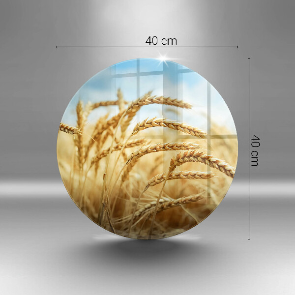 Tagliere in vetro Spighe di cereali nel campo