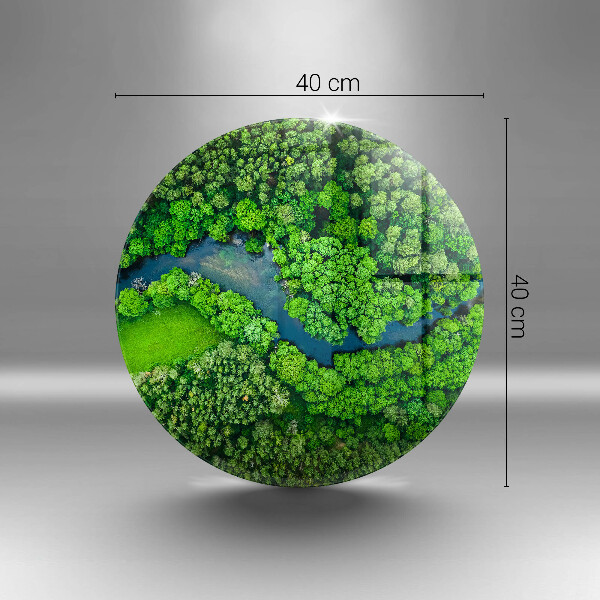 Tagliere in vetro Foresta e fiume da una vista a volo d'uccello