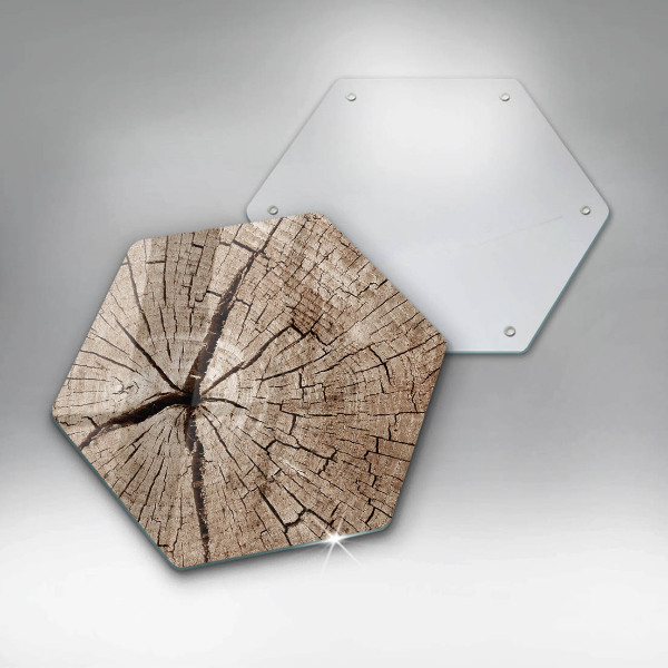 Tagliere in vetro Sezione trasversale di un albero