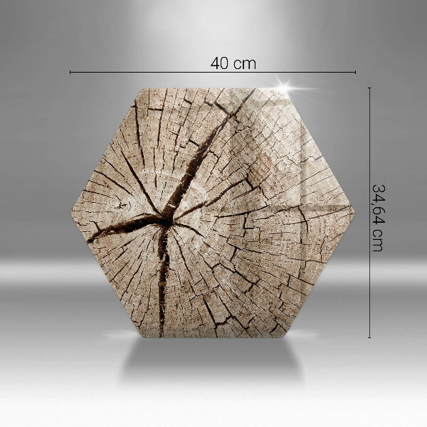 Tagliere in vetro Sezione trasversale di un albero