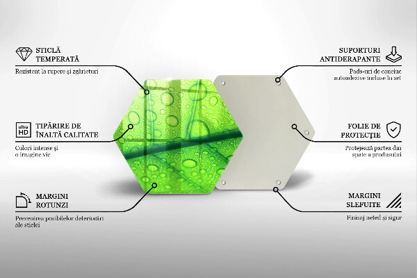 Tagliere in vetro temperato Primo piano di una foglia