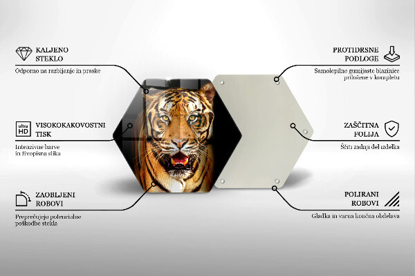 Tagliere in vetro Tigre animale selvatico