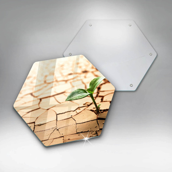 Tagliere in vetro Una pianta solitaria