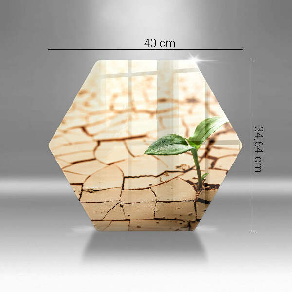 Tagliere in vetro Una pianta solitaria