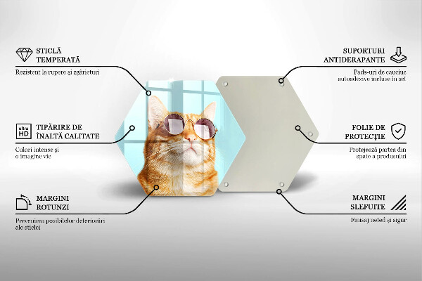 Tagliere in vetro Gatto rosso con gli occhiali