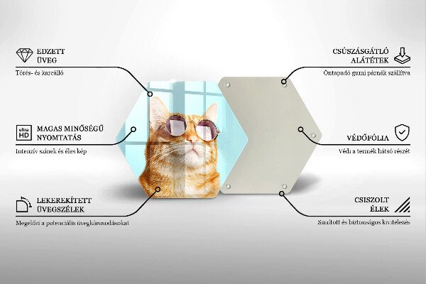 Tagliere in vetro Gatto rosso con gli occhiali