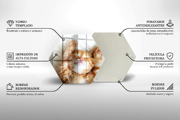 Tagliere in vetro Piccolo gattino carino