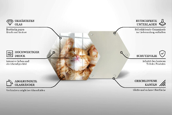 Tagliere in vetro Piccolo gattino carino