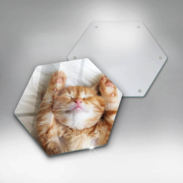 Tagliere in vetro Piccolo gattino carino