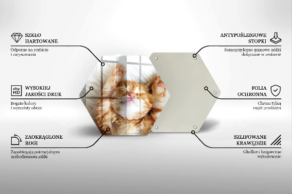 Tagliere in vetro Piccolo gattino carino