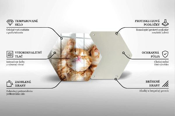 Tagliere in vetro Piccolo gattino carino