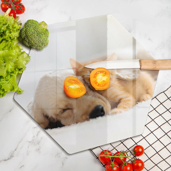 Tagliere in vetro Animali cane e gatto