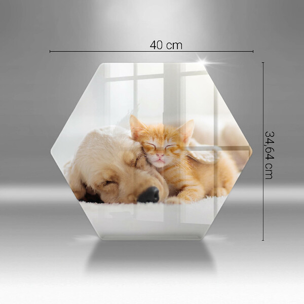 Tagliere in vetro Animali cane e gatto