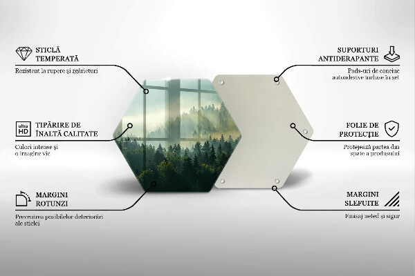 Tagliere in vetro Paesaggio Veduta della foresta