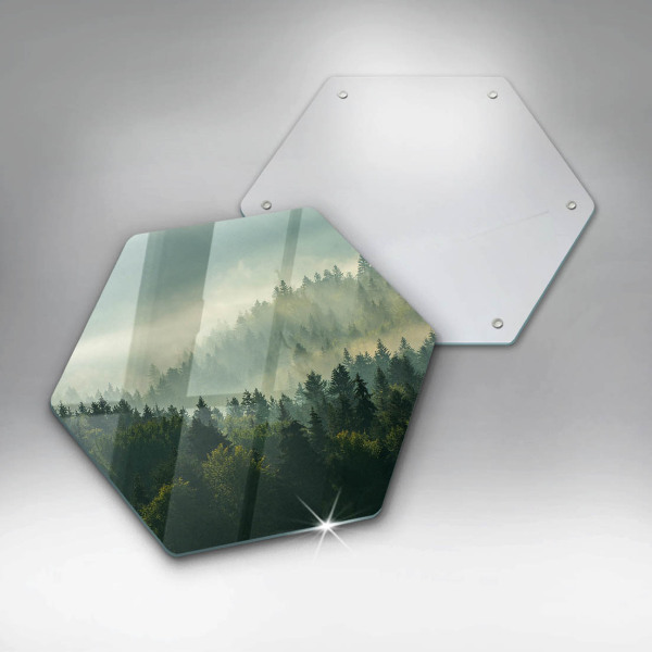 Tagliere in vetro Paesaggio Veduta della foresta