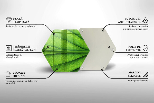 Tagliere in vetro Foglia della vena naturale