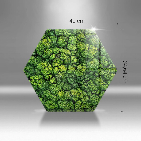 Tagliere in vetro Pianta di muschio naturale