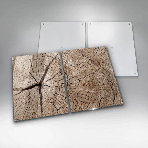 Copri piano cottura in vetro Sezione trasversale di un albero