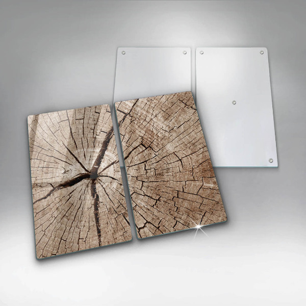 Copri piano cottura in vetro Sezione trasversale di un albero