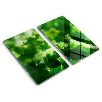 Copri piano cottura Foglie di lattuga