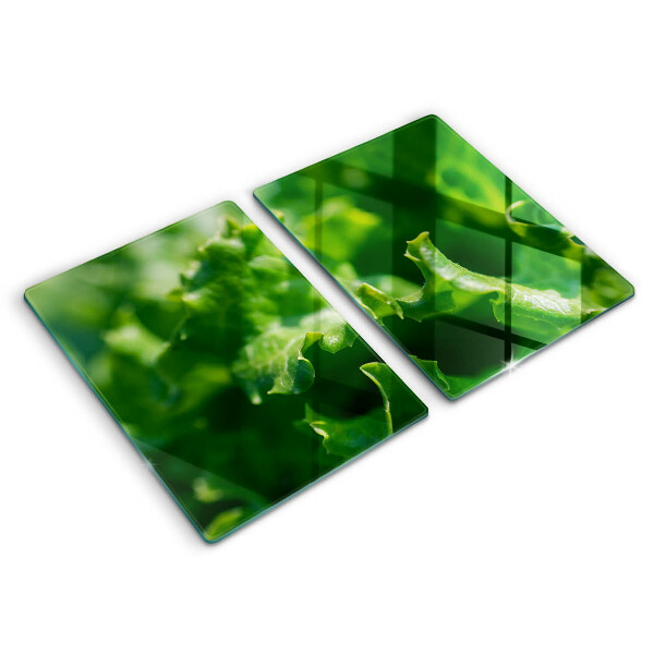 Copri piano cottura Foglie di lattuga