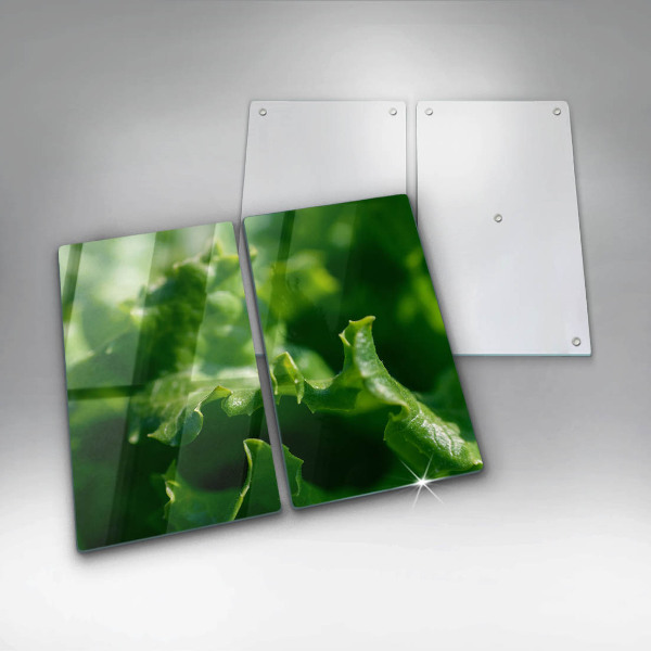 Copri piano cottura Foglie di lattuga