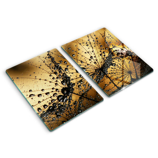 Copri piano cottura in vetro Rugiada e denti di leone